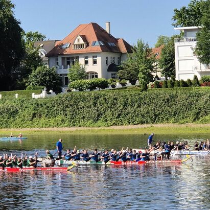 3 Drachenboote auf der Dresdner Elbe